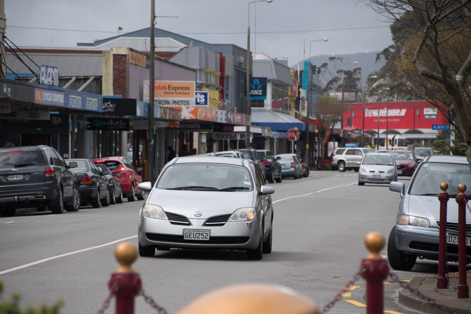 Tranz Alpine Greymouth