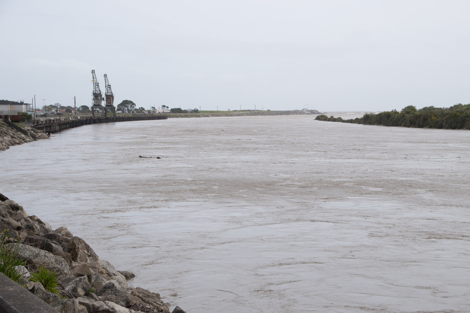 Tranz Alpine Greymouth