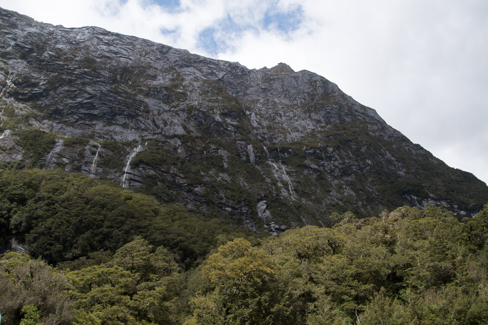 Milford Sound