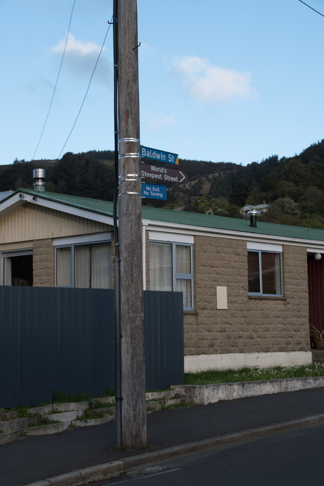 Dunedin, Baldwin Street