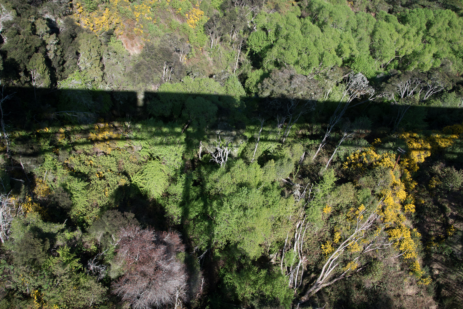 Taieri Gorge Railway