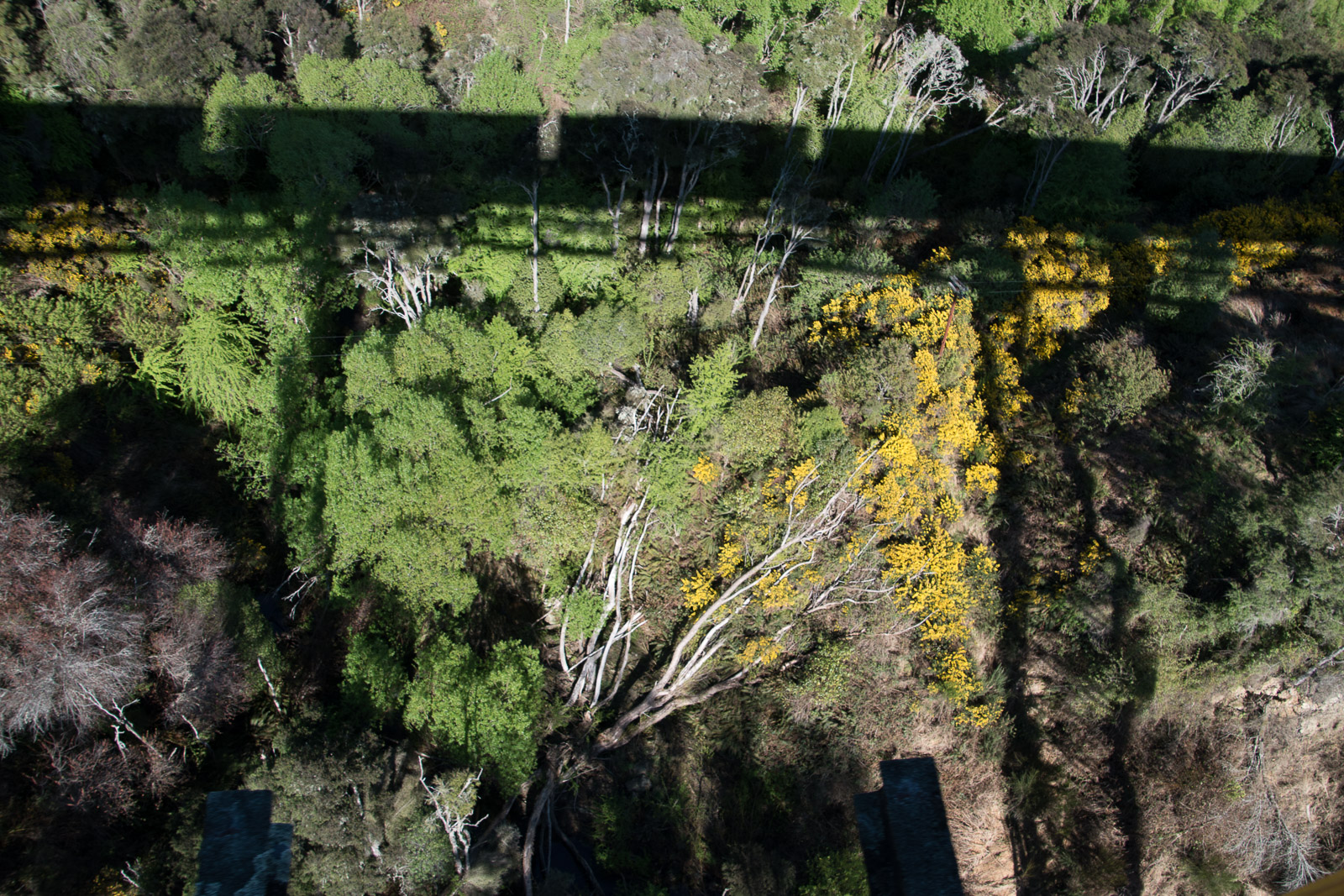 Taieri Gorge Railway
