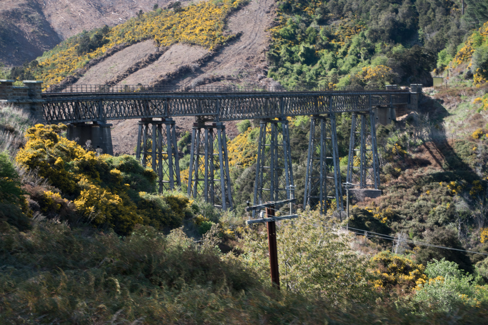 Taieri Gorge Railway