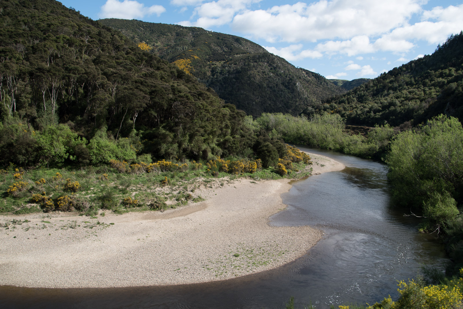 Taieri Gorge Railway
