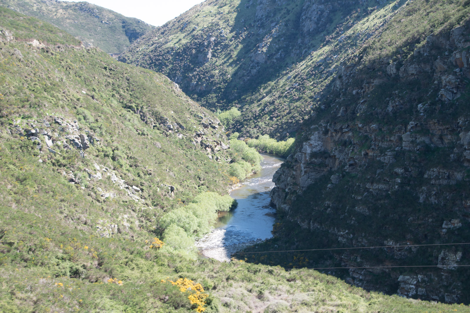 Taieri Gorge Railway