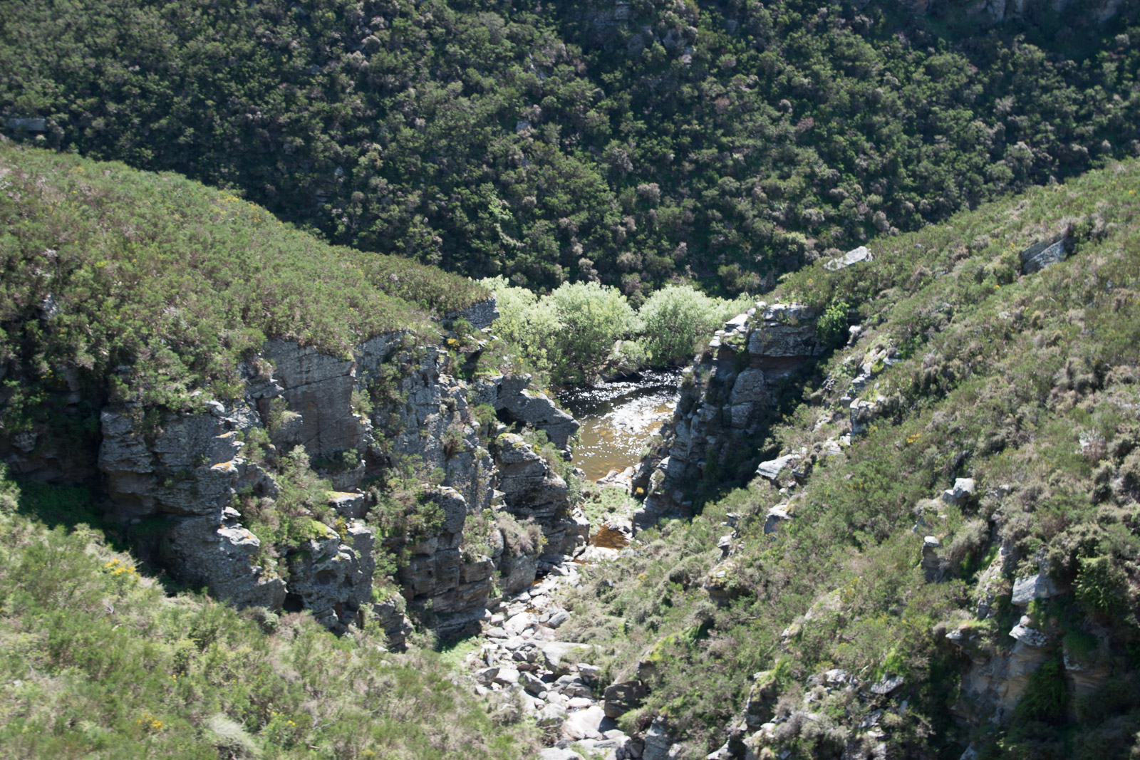 Taieri Gorge Railway