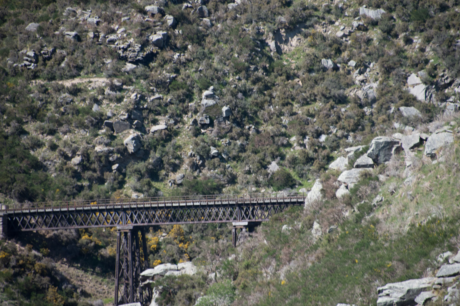 Taieri Gorge Railway