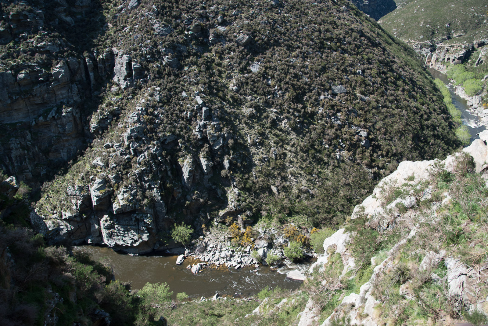 Taieri Gorge Railway