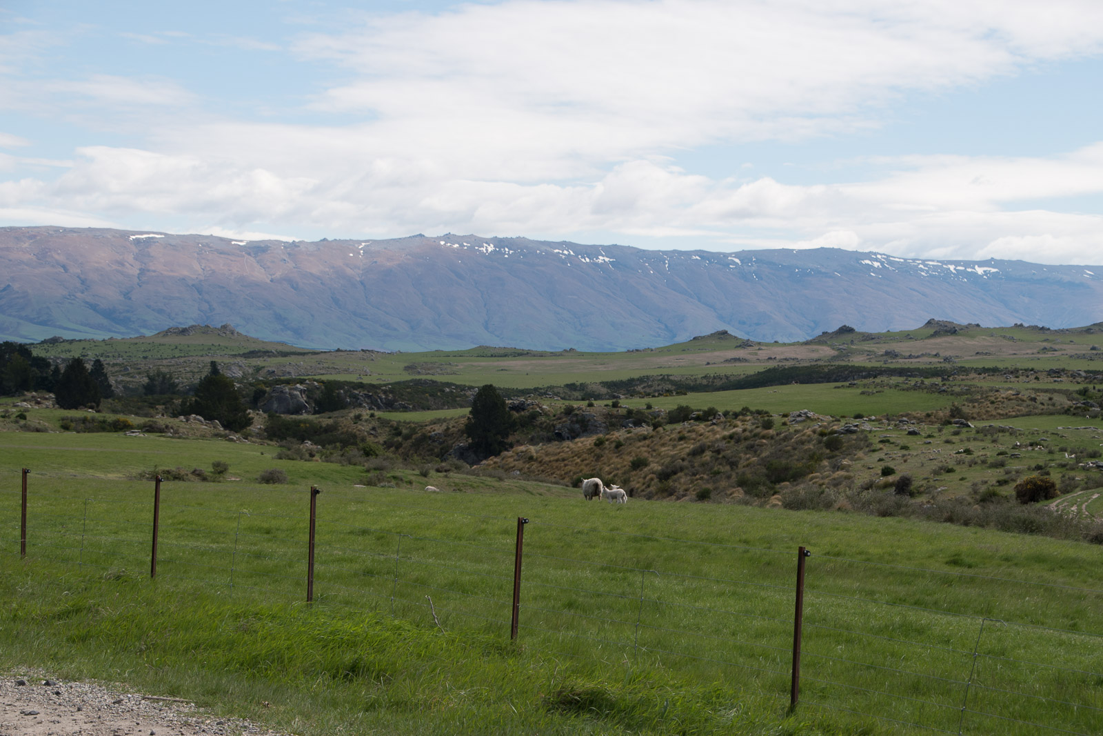 Taieri Gorge Railway