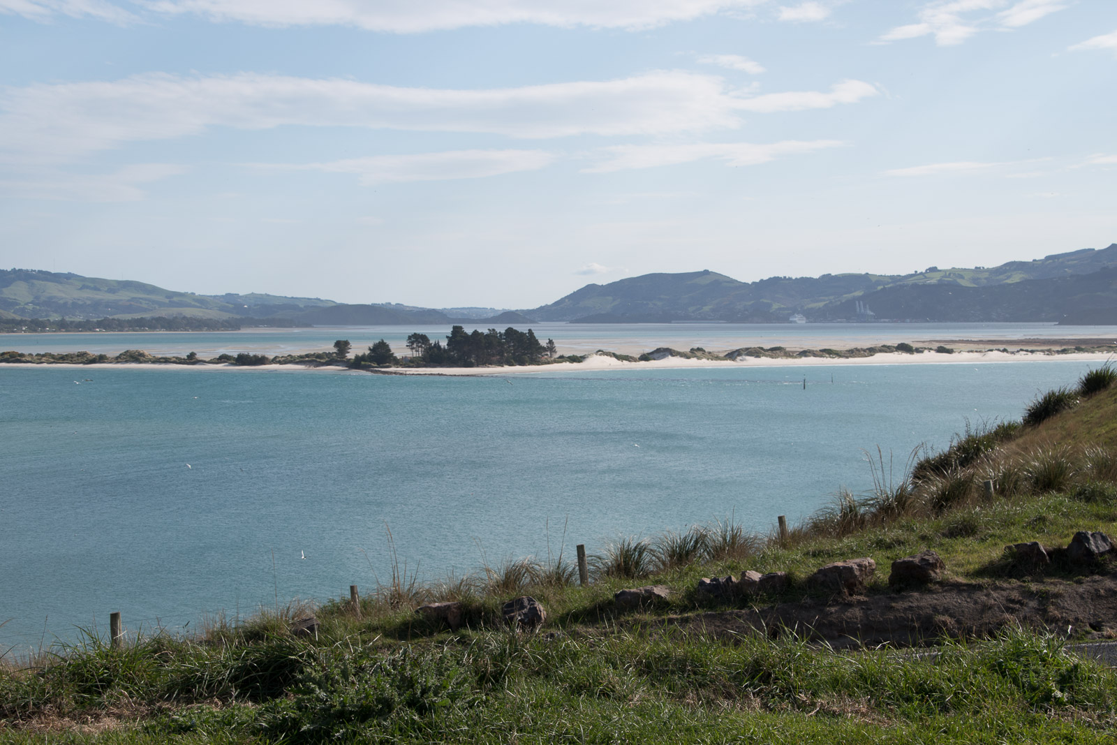 Hafen Dunedin