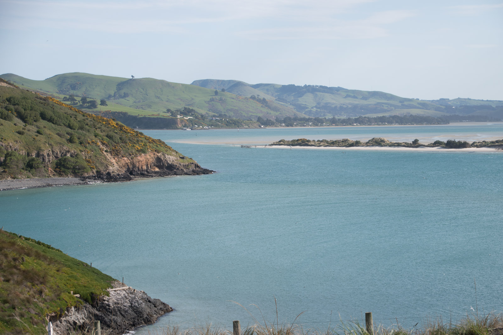 Hafen Dunedin