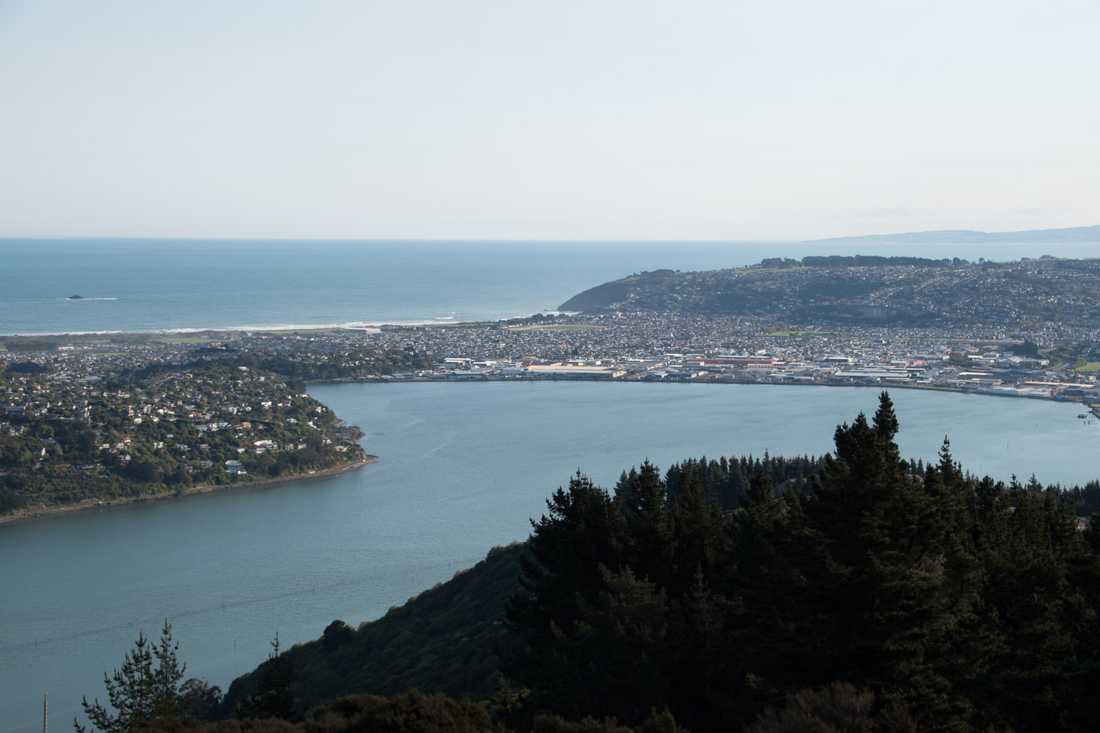 Hafen Dunedin