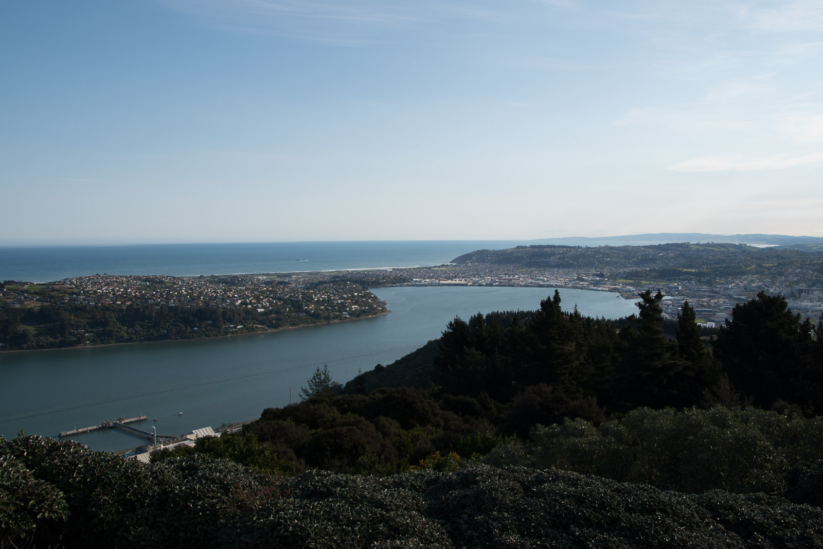 Hafen Dunedin