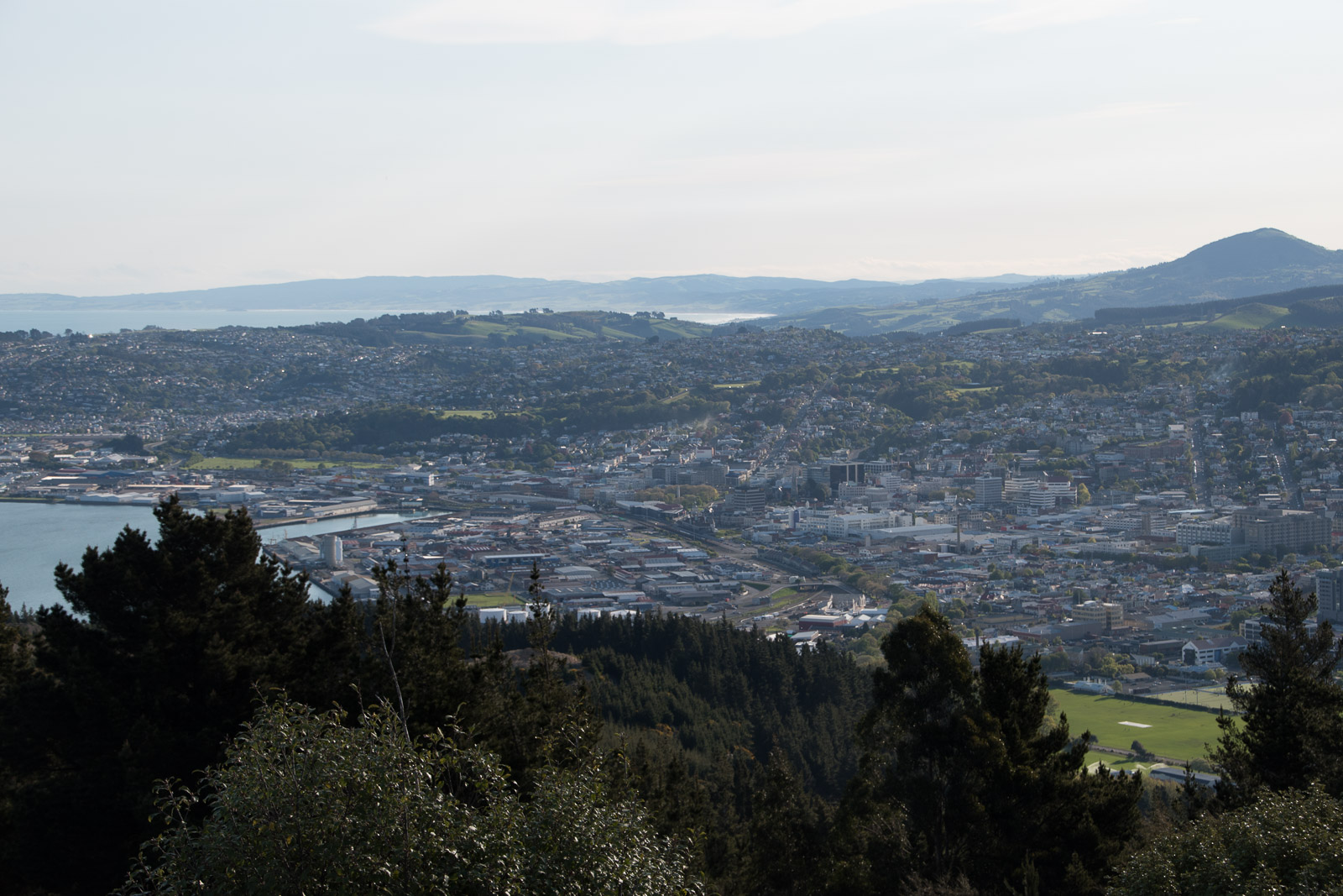 Hafen Dunedin